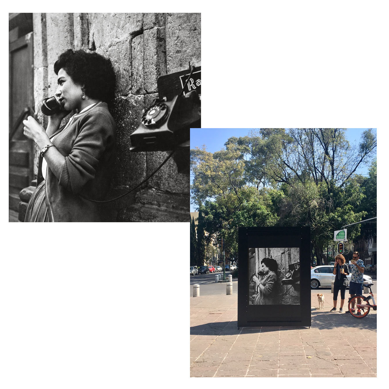  Arte y Cultura, Grupo Salinas 