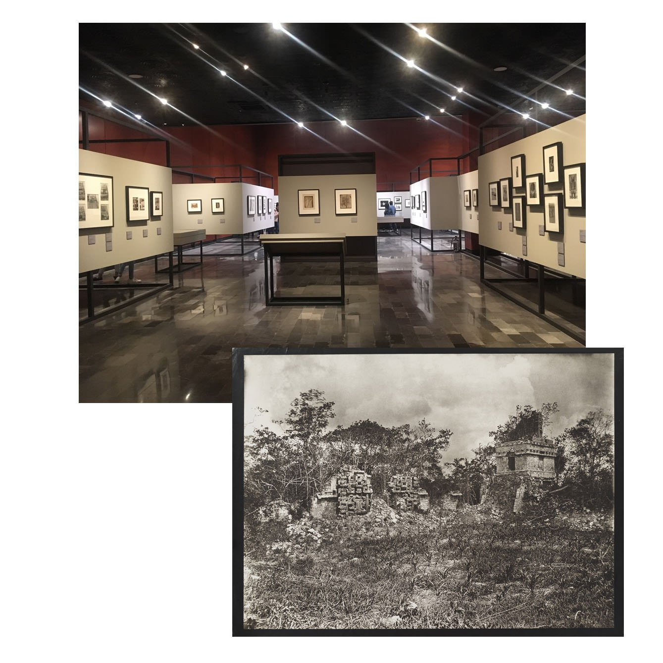  Arte y Cultura, Grupo Salinas 